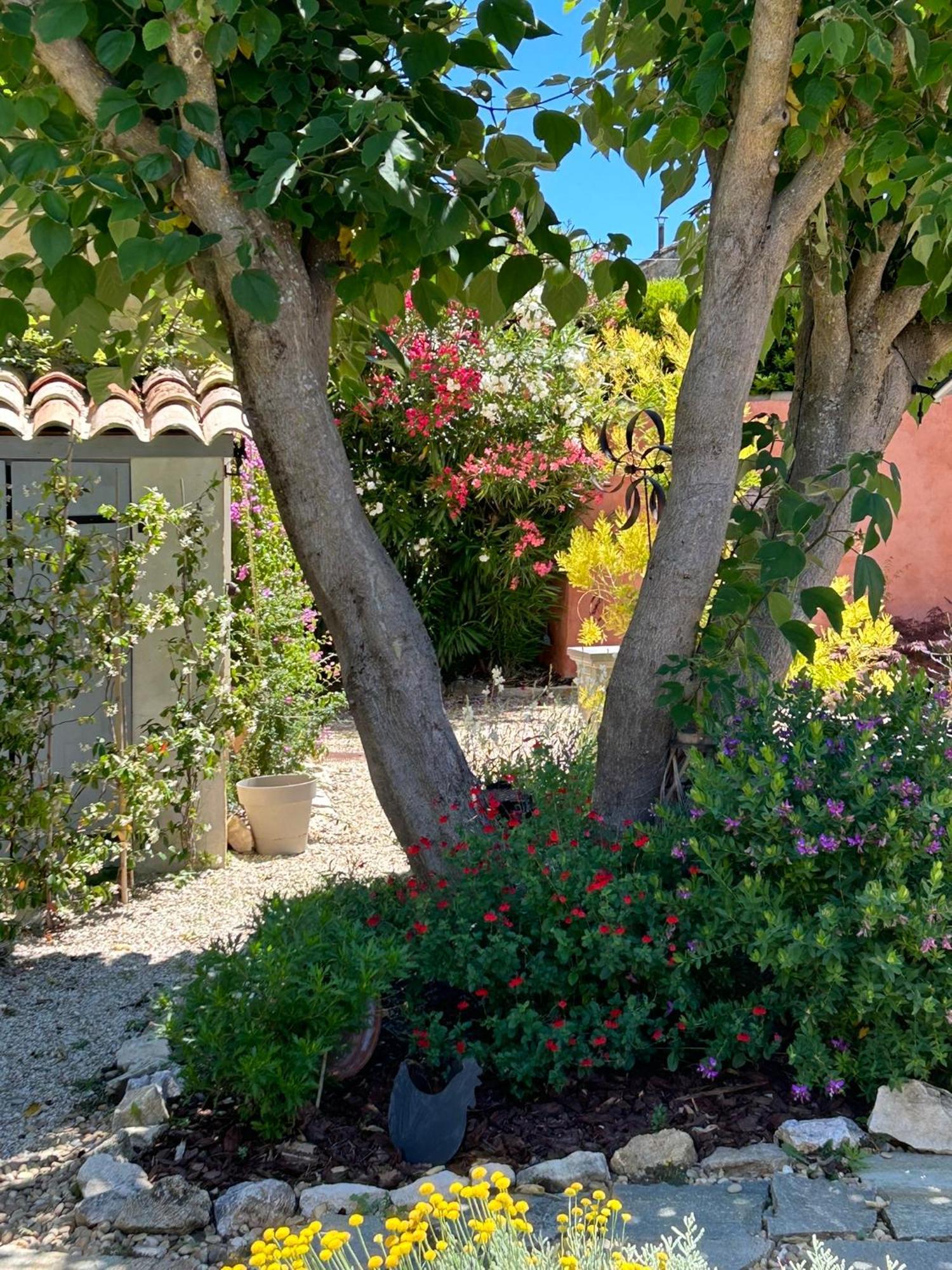 Guest house La Maiz